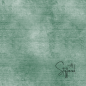 Preview: " DENIM - #MINTGRÜN " -    Jersey